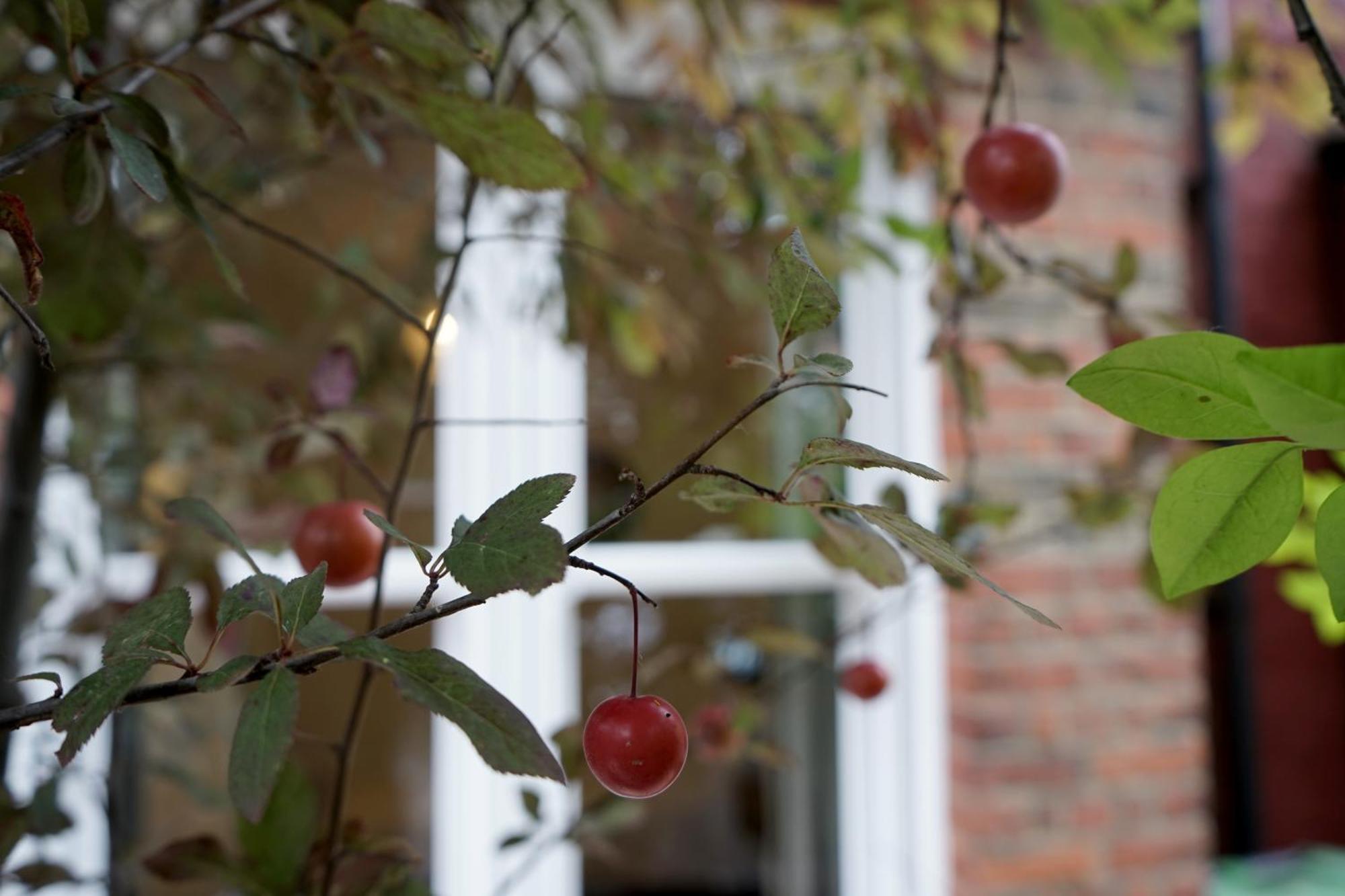 Villa Luxury London House Sleeps 13, 2 Minutes To Metro Esterno foto